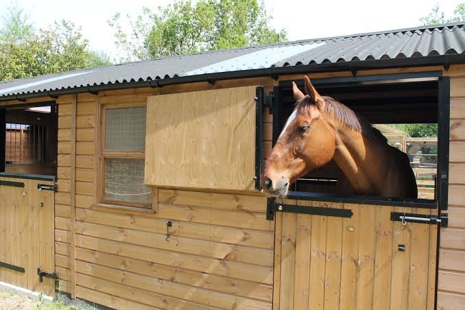 Premium Stables